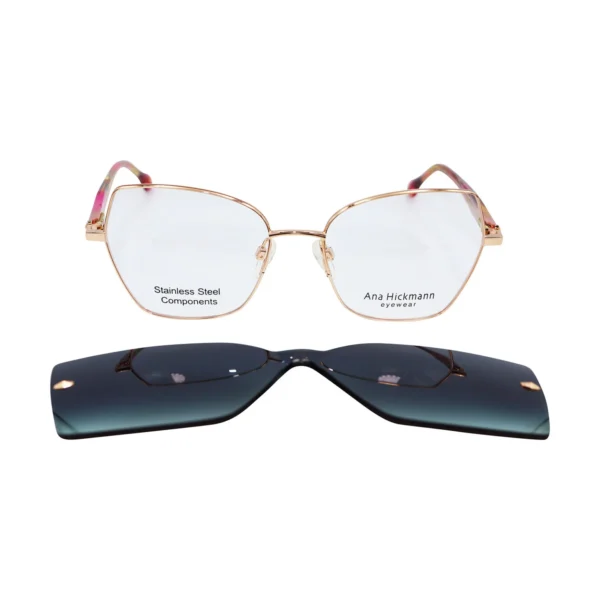 Ana Hickmann | AH1555G 05A