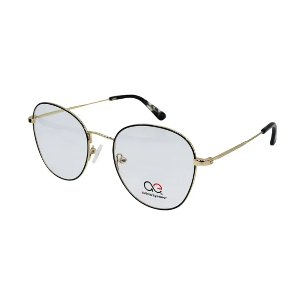 Artista Eyewear | GK7373 C.01