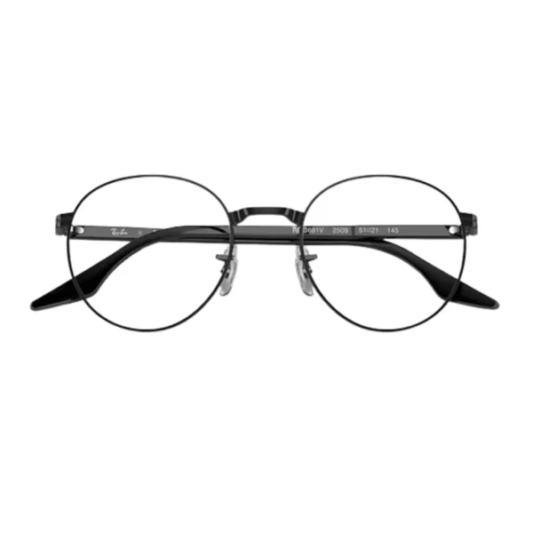 Ray-Ban | RB3691